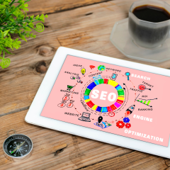 SEO & Web Service SEO For Immigration Lawyers