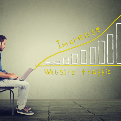 SEO Services Sunshine Coast