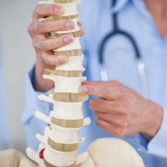 Chiropractor SEO Services