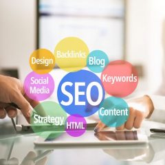SEO Services Clearwater FL