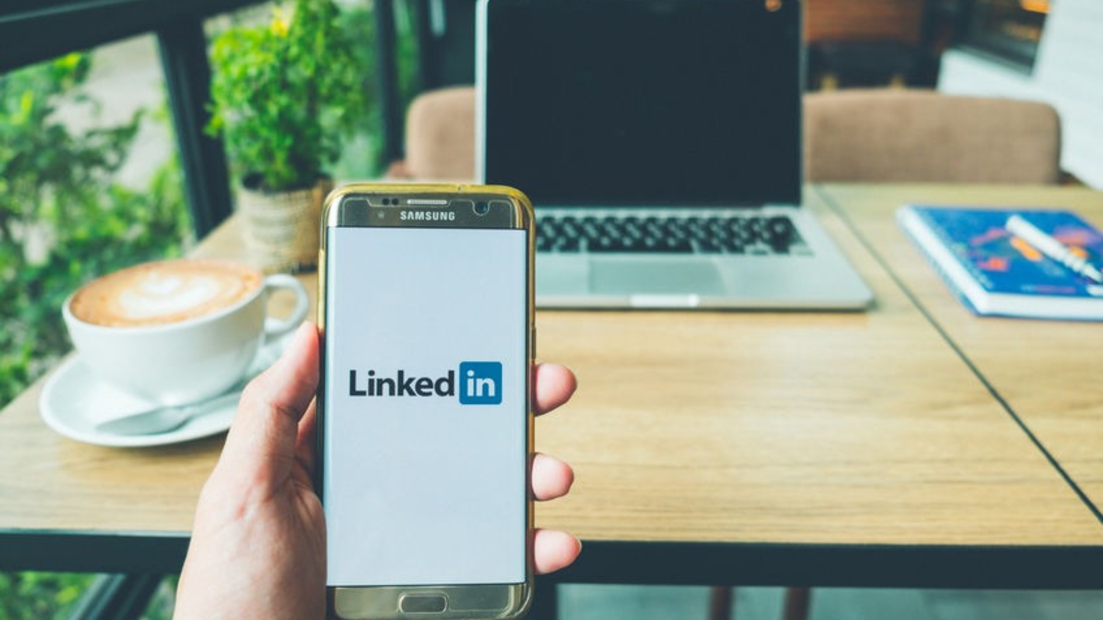 Professionals Stay Consistent on LinkedIn