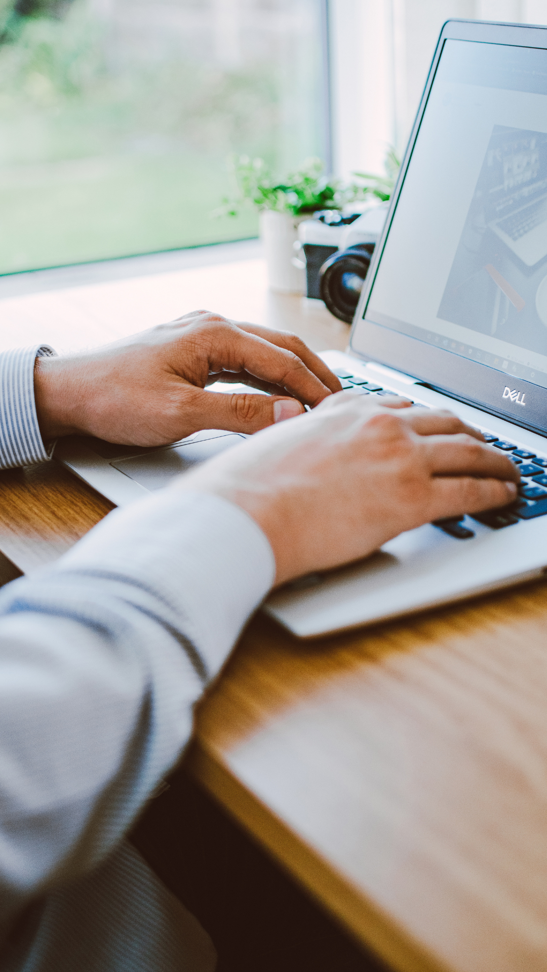 search engine optimization boca raton